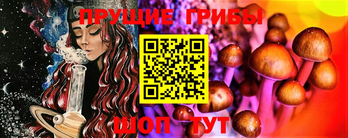 Псилоцибиновые грибы Magic Shrooms  Вход с VPN  купить  сайты  Калининград 